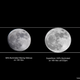Size comparison between the moon on November 13th, 95% illuminated, and the full moon on November 14th as it approached perigee. Image: Farmanasha